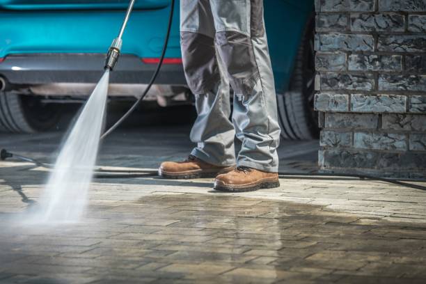 Best Sidewalk and Walkway Cleaning  in Wlow Springs, IL