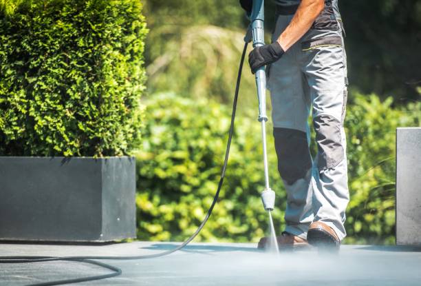 Best Patio and Deck Pressure Washing  in Wlow Springs, IL