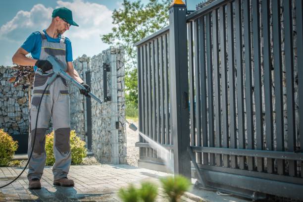 Best Boat and Dock Cleaning  in Wlow Springs, IL