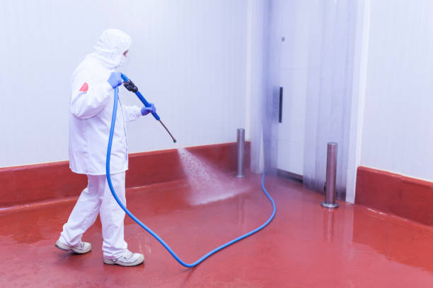 Best House Exterior Washing  in Wlow Springs, IL