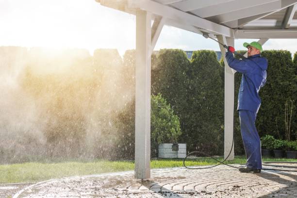 Pre-Holiday Cleaning in Willow Springs, IL