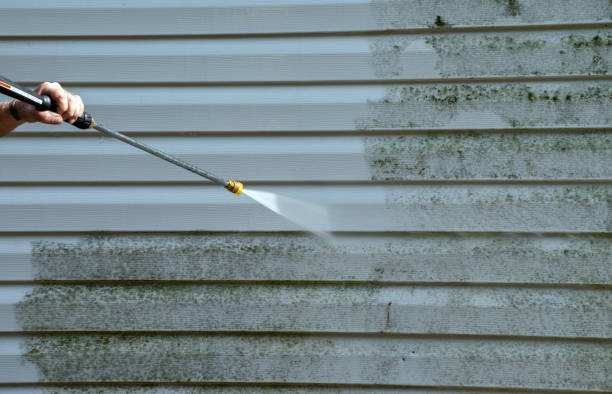 Best Sidewalk and Walkway Cleaning  in Wlow Springs, IL